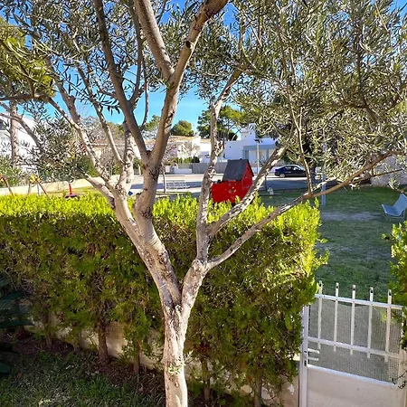 Mallorca Casa Torrens 50 M From Holiday home